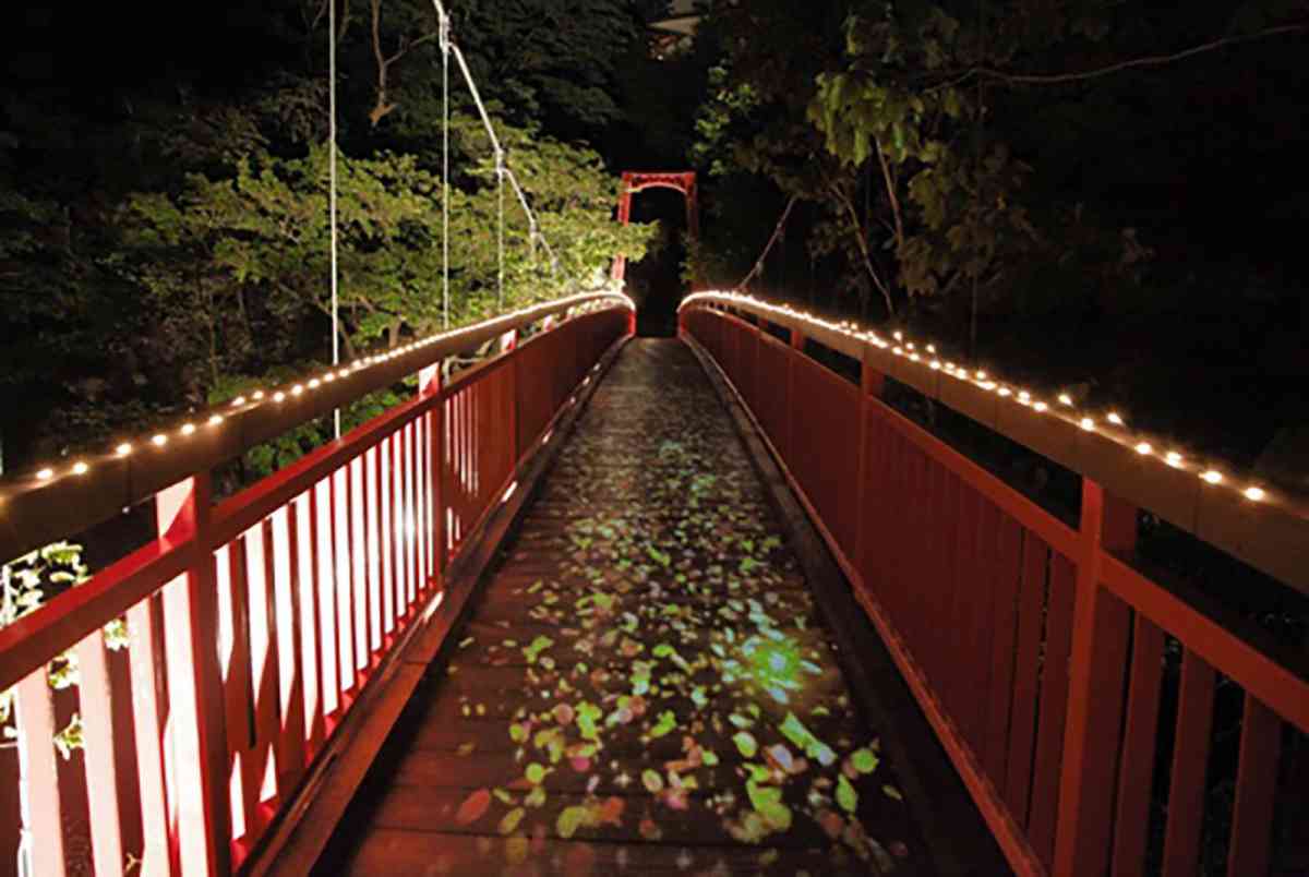Jozankei Nature Luminarie by NAKED -灯りと遊ぶ散歩道-
