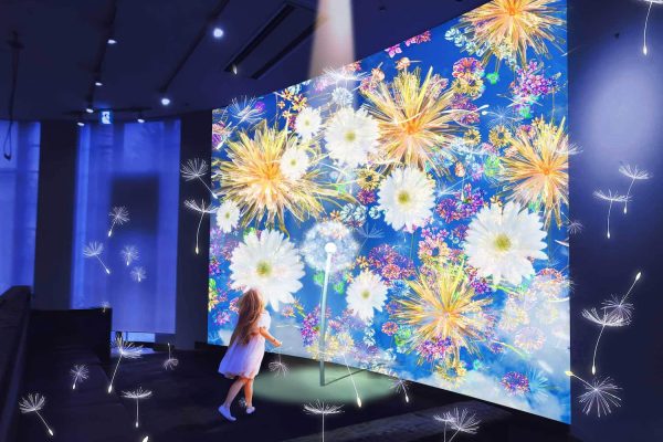日本沈没 x DANDELION PROJECT