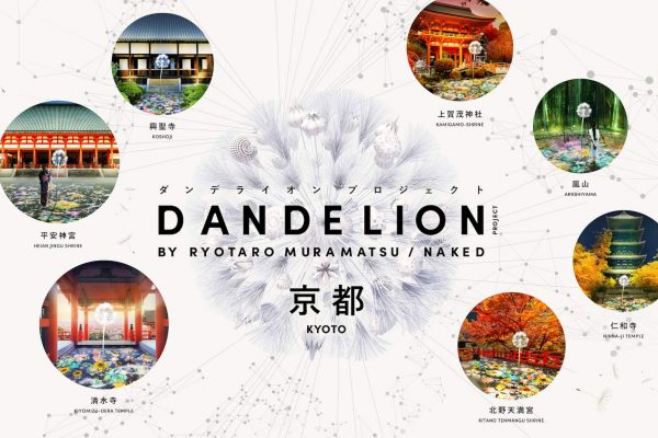 DANDELION京都