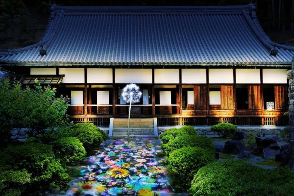 DANDELION PROJECT | 興聖寺