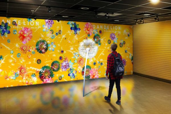 DANDELION PROJECT | サンフランシスコ・ジャパンタウン
