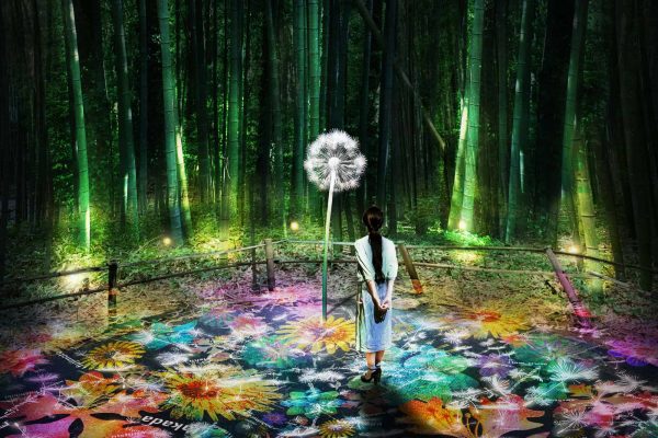 DANDELION PROJECT | 嵐山花灯路