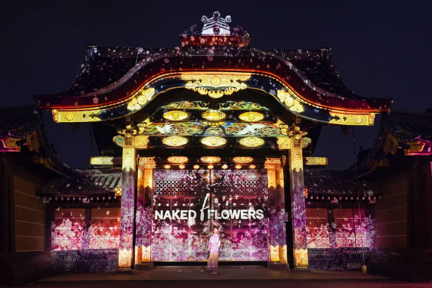 NAKED FLOWERS 2022 -桜- 世界遺産・二条城 | 桜の開花・作品紹介 | NAKED, INC. | 株式会社ネイキッド