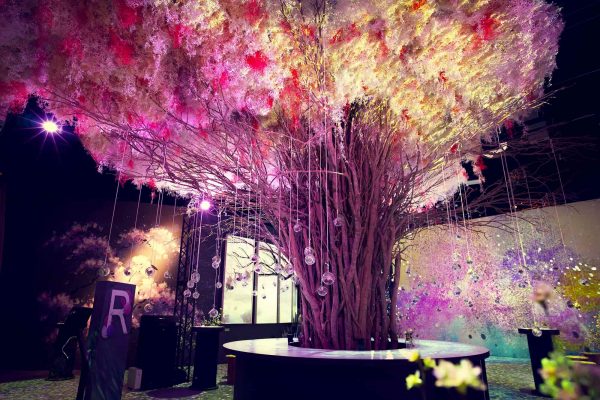 NFTアート | 桜彩SPRING 2022 EDITION