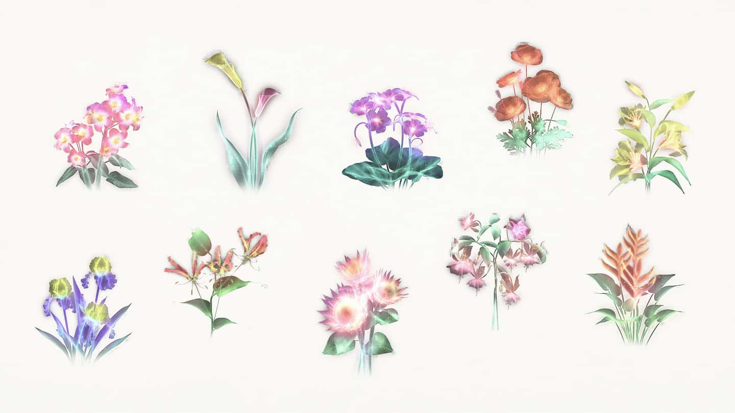 30種類の花