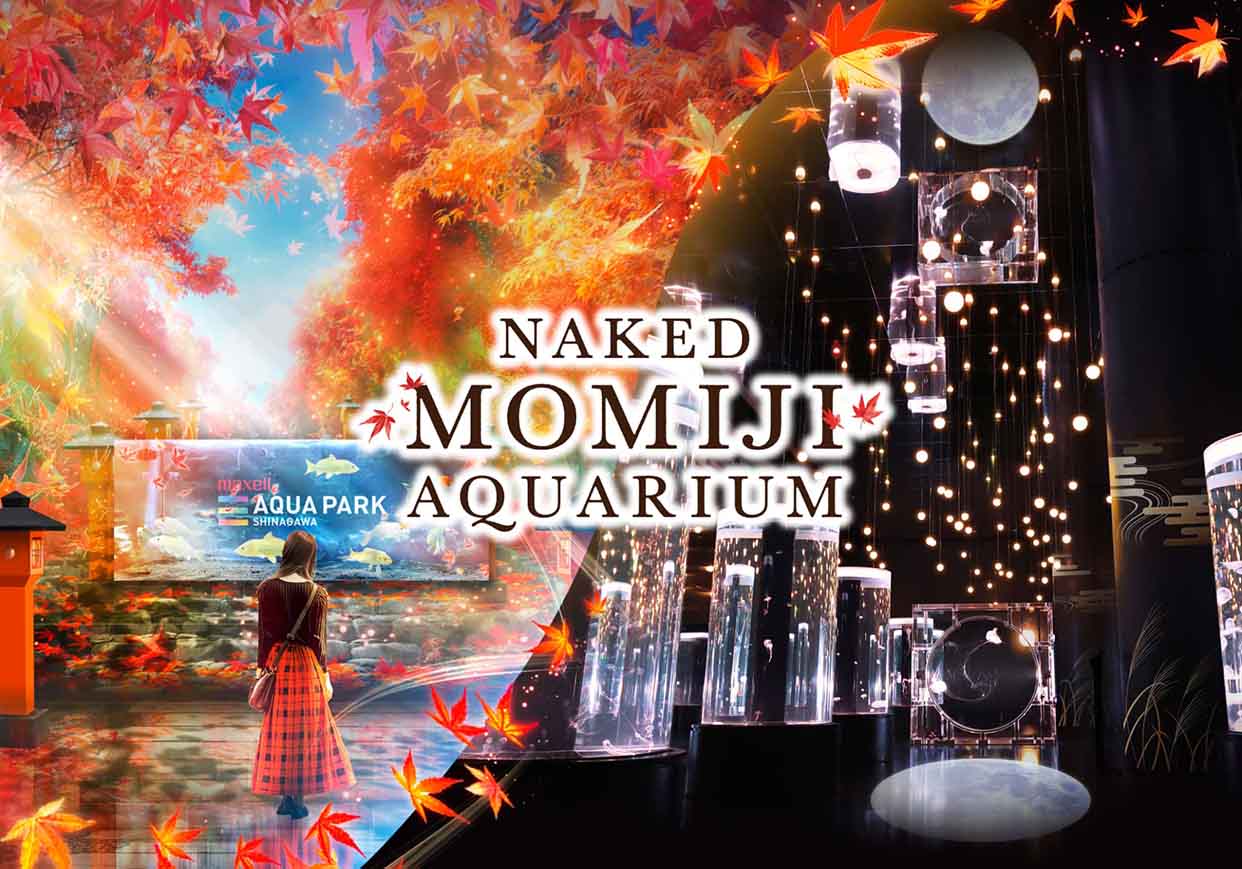 マクセル アクアパーク品川xネイキッド初の秋限定イベント、テーマは紅葉　「NAKED MOMIJI AQUARIUM」9月13日(金)～11月17日(日)まで