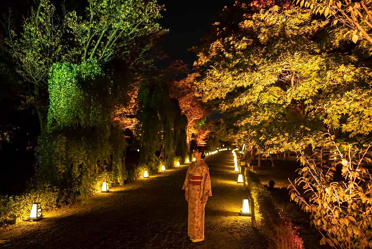 清流園 紅葉ライトアップ