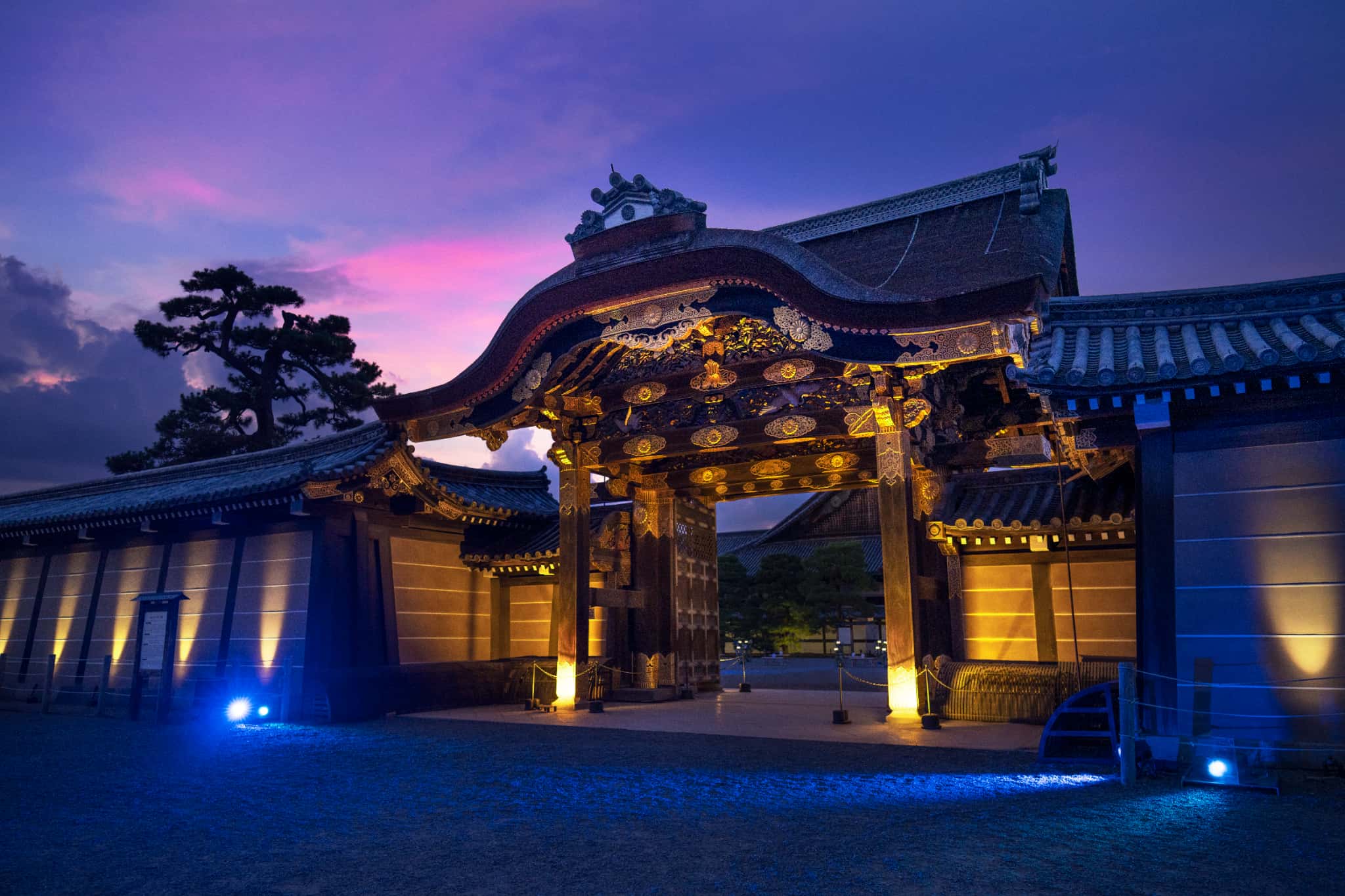 夜の世界遺産・二条城で体感するアートな“夕涼み”『NAKED meets 二条城 2025 夕涼み』 本日スタート、8月24日(日)まで